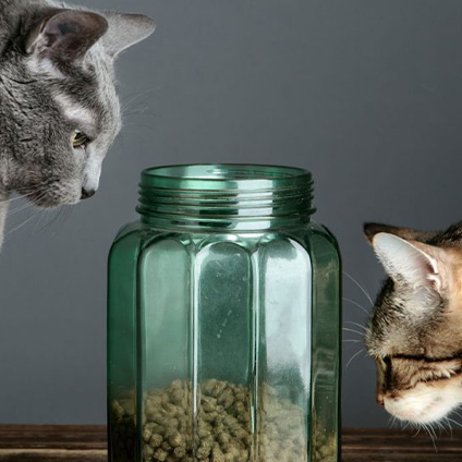 A green jar on a gray background half-filled with kibble, with two cats on either side of the jar seemingly sniffing it.