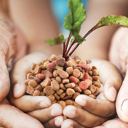 A child's hand surrounded by an adult's hand, with kibbles in the child's hand and a plant growing in the middle.